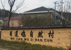 目莲坞自然村：藏在灵峰山后的醉美乡村-和风乐游农庄 - 和风乐游农庄