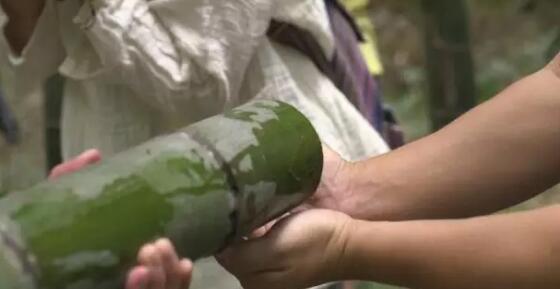 活竹酿制会呼吸的生态酒,竹酒的独特工艺与健康价值-和风乐游农庄(图2) 活竹酿制会呼吸的生态酒,竹酒的独特工艺与健康价值-和风乐游农庄(图2)