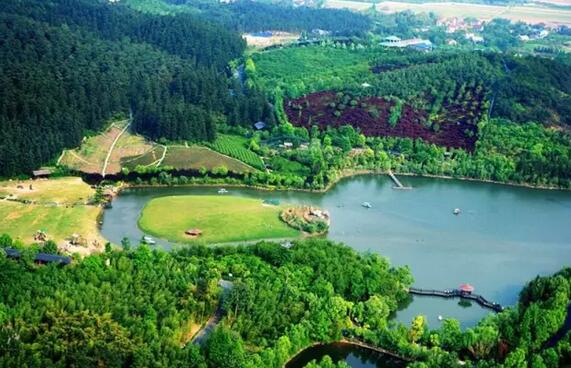 安吉中南百草原旅游攻略 植物动物休闲一站式体验-和风乐游农庄(图1)