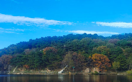 淄博小众景点大揭秘：10个本地人都不知的隐藏秘境-和风乐游农庄 - 和风乐游农庄