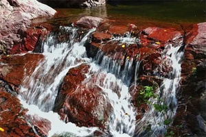 云岫谷 - 和风乐游农庄