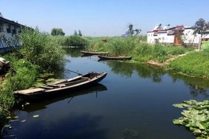 王家寨民俗村 - 和风乐游农庄