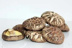 平泉香菇 - 和风乐游农庄