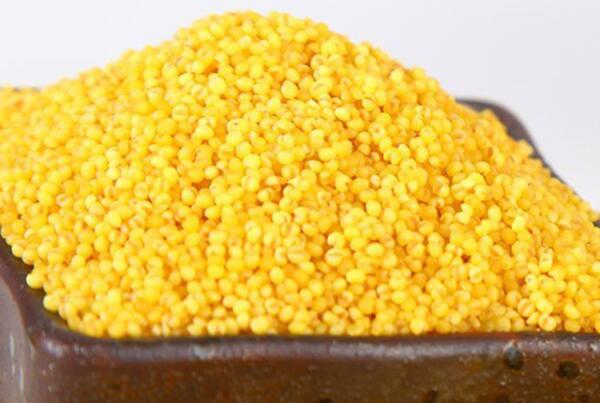 黄旗小米(图1) 黄旗小米(图1)