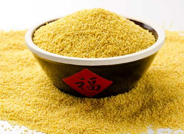 黄旗小米(图2) 黄旗小米(图2)