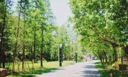 安吉孝丰古镇骑行路线推荐 十里竹海文化之旅体验-和风乐游农庄 - 和风乐游农庄