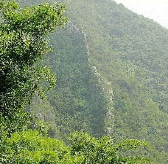 安吉发现神秘石长城地质奇观，石灰岩中天然形成的壮观地貌-和风乐游农庄(图1)