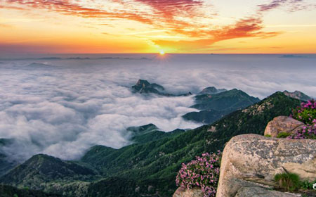 泰安小众景点大揭秘：10个本地人都不知的隐藏秘境-和风乐游农庄 - 和风乐游农庄