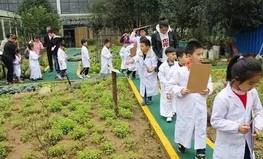 安吉亲子游最佳路线推荐 适合全家游玩的景点攻略-和风乐游农庄(图2)