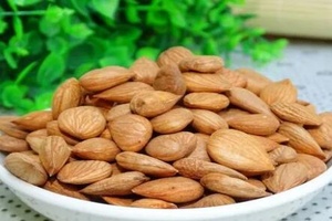 承德杏仁 - 和风乐游农庄