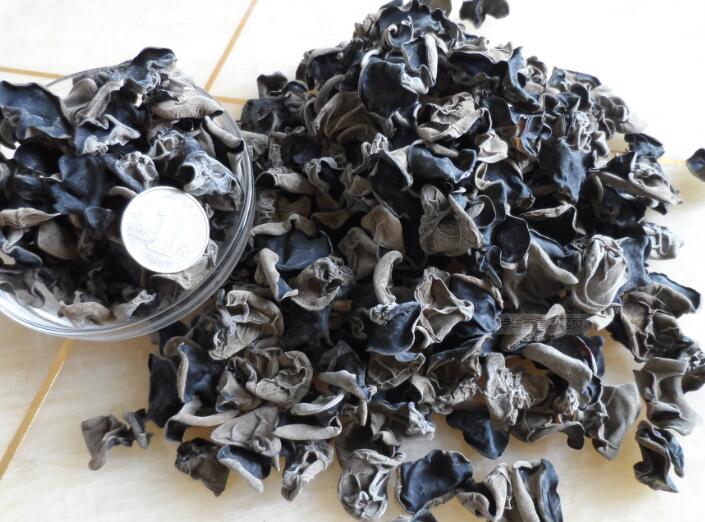 黑木耳(图1) 黑木耳(图1)