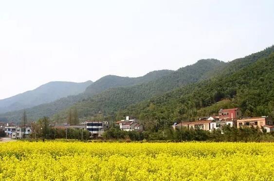 安吉余村美丽乡村建设典范：两山思想发源地的生态旅游实践-和风乐游农庄(图2)