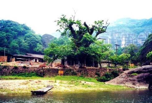 探访无蚊村体验纯朴乡村生活，夏日避暑的天然胜地-和风乐游农庄(图2)