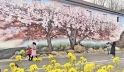 目莲坞自然村：3D壁画艺术村落打造安吉旅游新体验-和风乐游农庄 - 和风乐游农庄