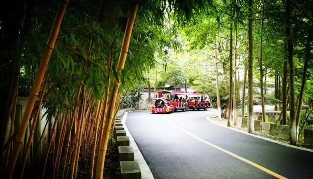 中南百草原小火车游览体验，轻松赏景省体力-和风乐游农庄(图2)