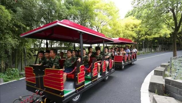 中南百草原小火车游览体验，轻松赏景省体力-和风乐游农庄(图5)