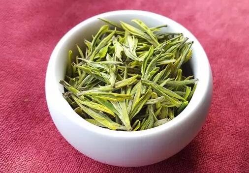 安吉白茶匠心工艺揭秘 机械化生产成就品质标准-和风乐游农庄(图1)