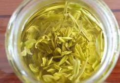 安吉白茶独特品味魅力，氨基酸含量最高绿茶的鲜爽体验-和风乐游农庄 - 和风乐游农庄