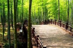 探秘竹博园隐藏景点：天桥雪景与幽静茶韵-和风乐游农庄 - 和风乐游农庄