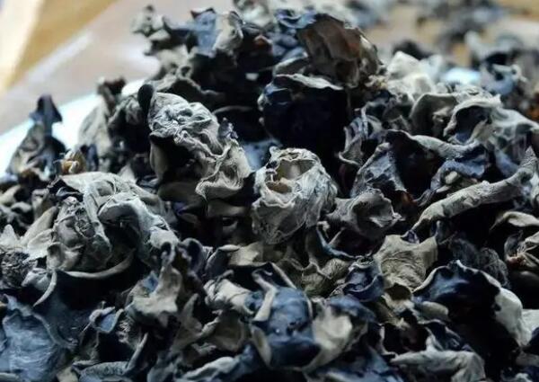沁水黑木耳(图1) 沁水黑木耳(图1)