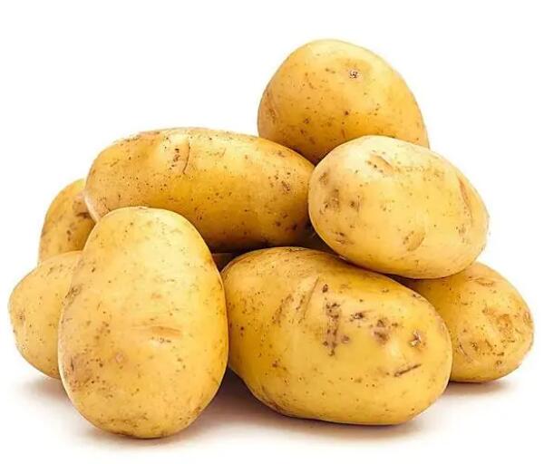 张北马铃薯(图2)