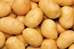 张北马铃薯 - 和风乐游农庄