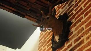 竹海中的静谧避风港，体验人和堂·私享家的美好时光-和风乐游农庄(图4)