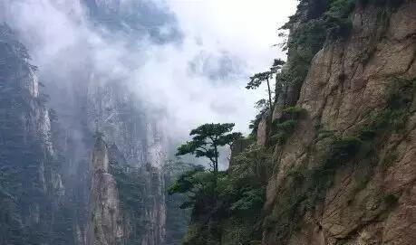 安吉山水熊猫两日游攻略 竹博园藏龙百瀑精彩行程推荐-和风乐游农庄(图3) 安吉山水熊猫两日游攻略 竹博园藏龙百瀑精彩行程推荐-和风乐游农庄(图3)