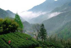 浙北第一高山村九亩田：海拔820米的世外桃源-和风乐游农庄 - 和风乐游农庄