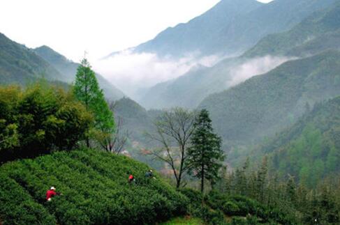 浙北第一高山村九亩田：海拔820米的世外桃源-和风乐游农庄(图5)