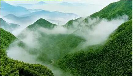 安吉阿丽拉酒店隐秘湖畔别墅体验，奢华度假胜地推荐-和风乐游农庄(图1)