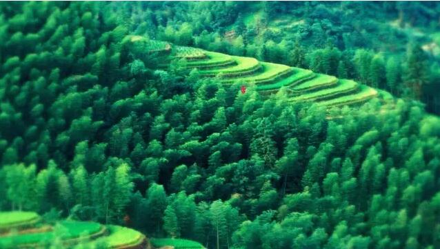 安吉风水宝地探秘:为何被称为人杰地灵的福泽之地-和风乐游农庄(图1) 安吉风水宝地探秘:为何被称为人杰地灵的福泽之地-和风乐游农庄(图1)