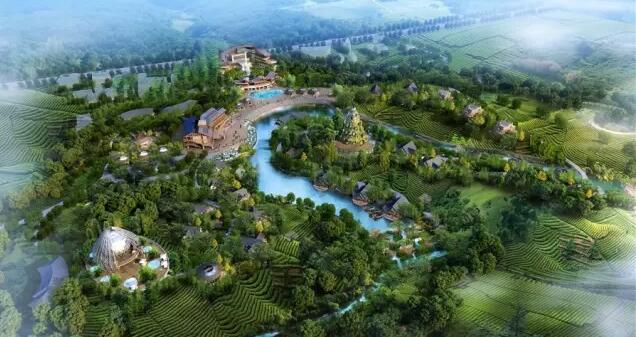 亿元投资茶园项目：白茶文化与拉美风情完美融合-和风乐游农庄(图3)