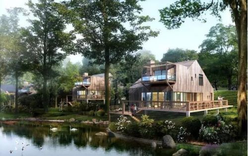 亿元投资茶园项目：白茶文化与拉美风情完美融合-和风乐游农庄(图5)