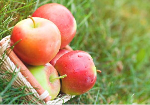 石洞彩苹果(图2) 石洞彩苹果(图2)