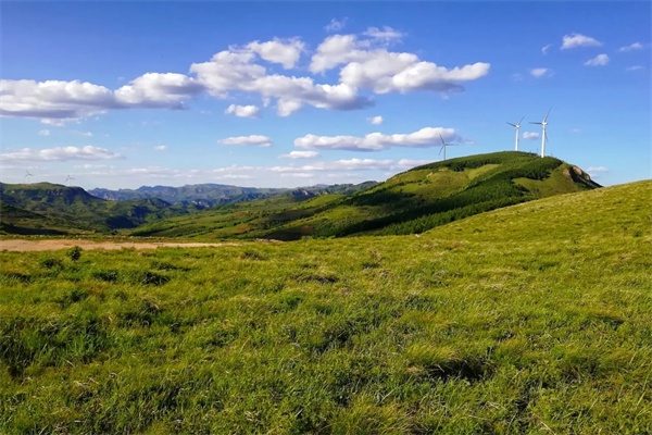 涞源空中草原(图1)