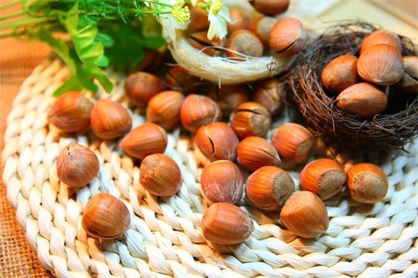 涞源榛子(图1)