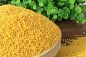 蔚州贡米 - 和风乐游农庄