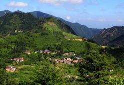 董岭农家乐海拔800米避暑胜地，高山蔬菜美食体验-和风乐游农庄 - 和风乐游农庄