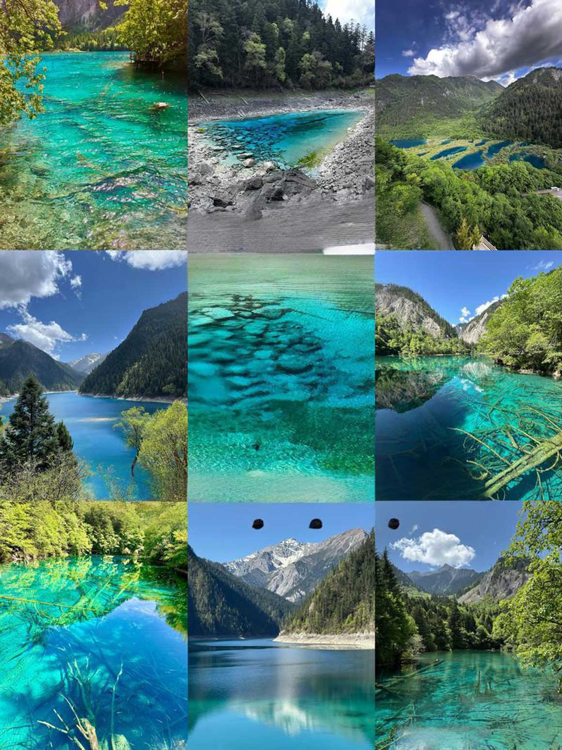 九寨沟限流新政2025：预约购票技巧与避人潮路线攻略-和风乐游农庄(图1)