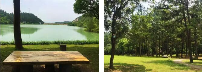 安吉美景如画天然纯净体验原生态休闲之旅-和风乐游农庄(图2)