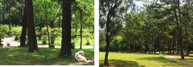 安吉美景如画天然纯净体验原生态休闲之旅-和风乐游农庄(图3)