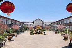 金沙湾农庄 - 和风乐游农庄