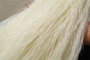 卢龙粉丝 - 和风乐游农庄