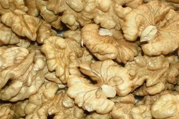 石门核桃(图3) 石门核桃(图3)