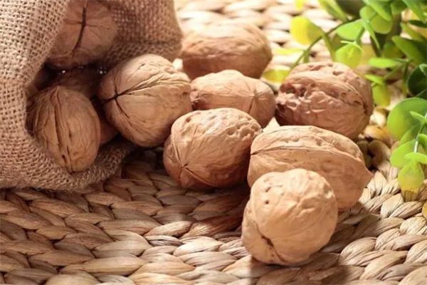石门核桃(图1) 石门核桃(图1)