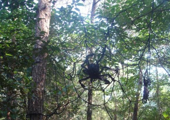 神秘部落村(图3)