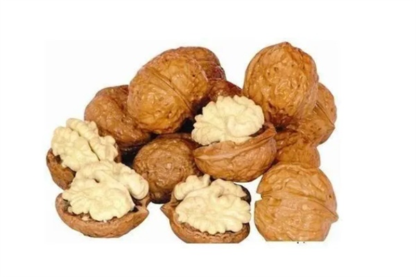 石门核桃(图2) 石门核桃(图2)