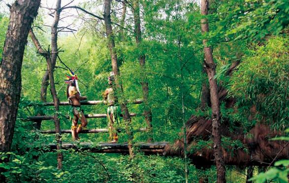 神秘部落村(图2)
