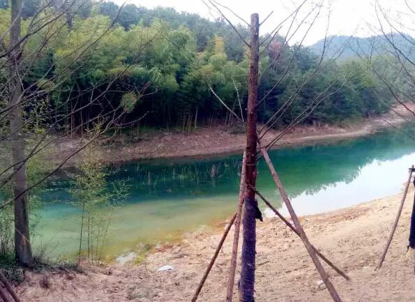 安吉梨花谷春日盛景，漫山梨花绽放如诗如画-和风乐游农庄(图4)